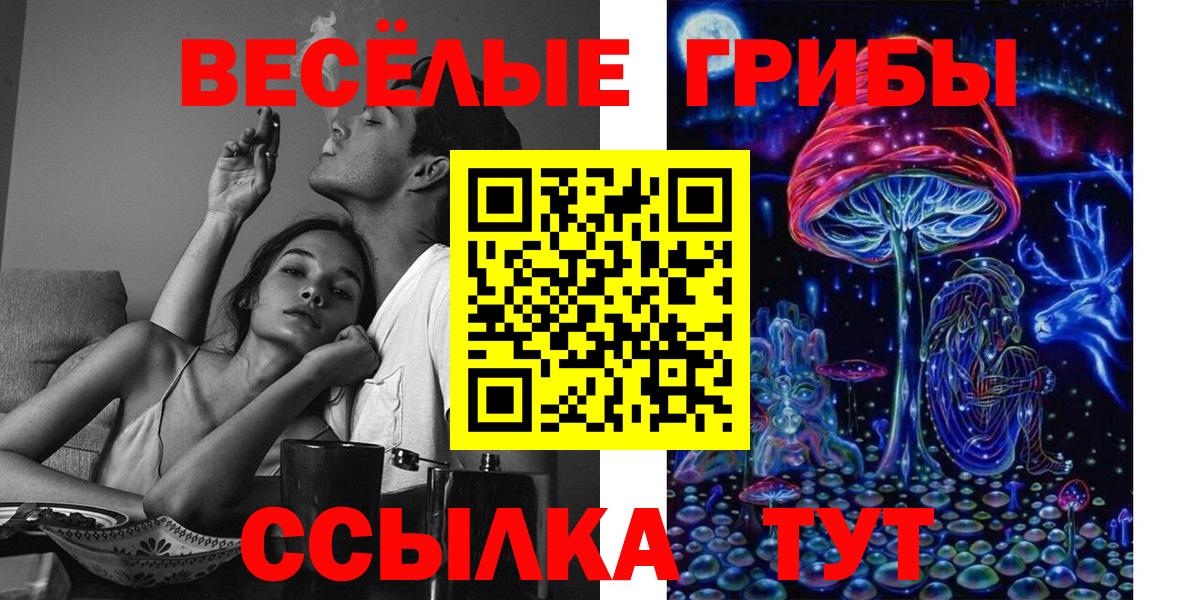 Псилоцибиновые грибы мухоморы Михайловка